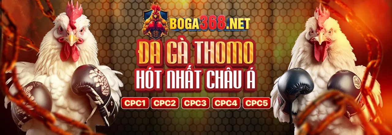 Tham Gia TF88 Ngay